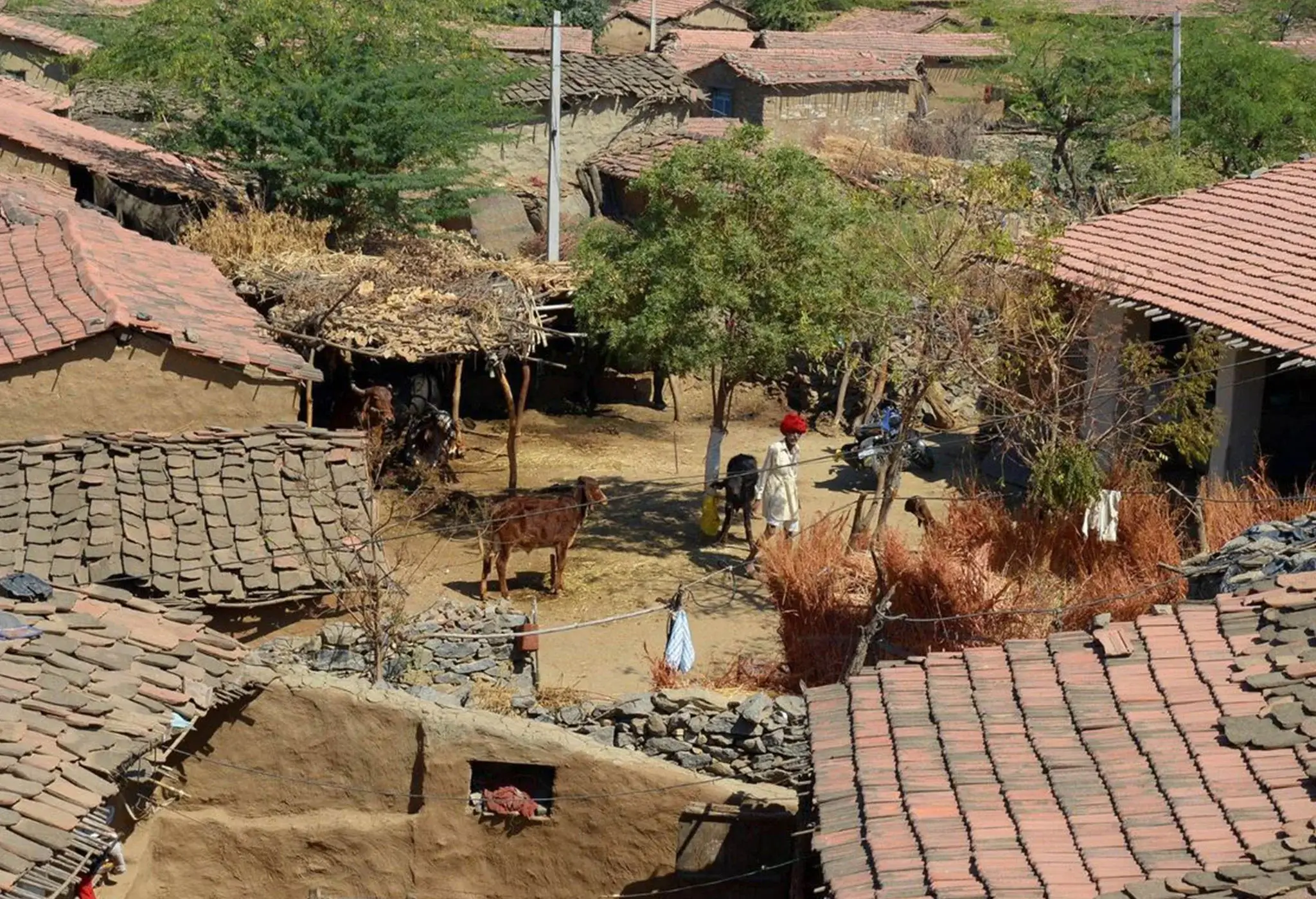 sahdev bagh pushkar