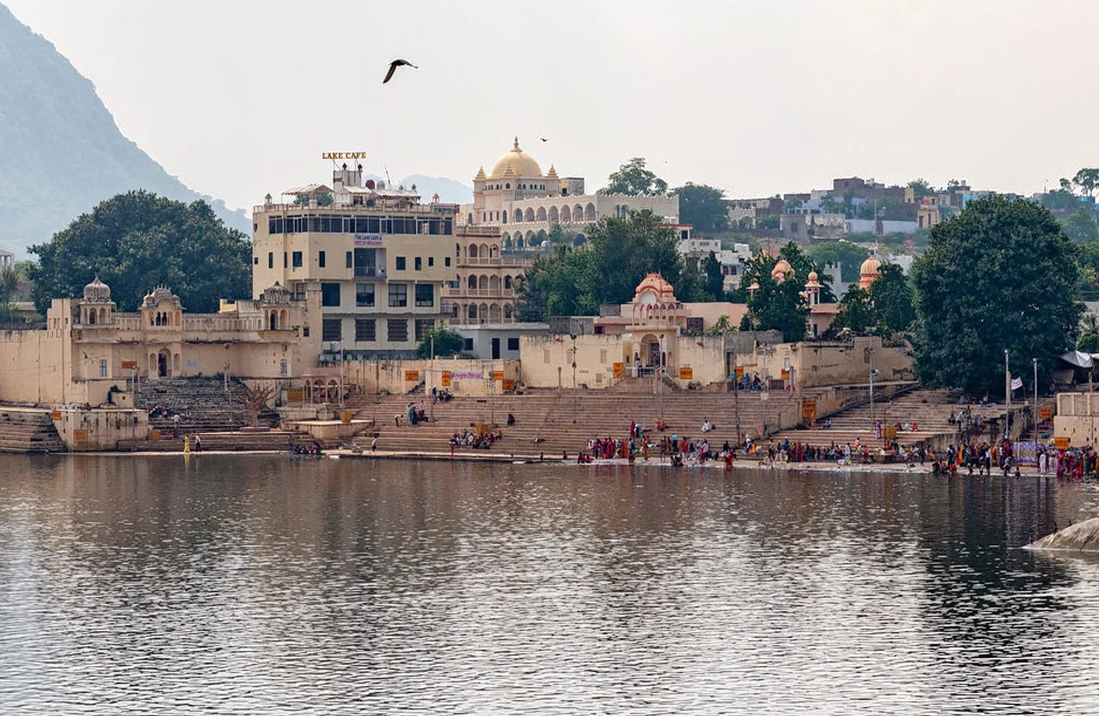 Pushkar Heritage Stay
