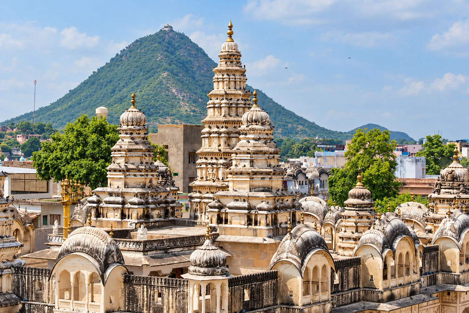 Pushkar temples and colourful local markets in Rajasthan